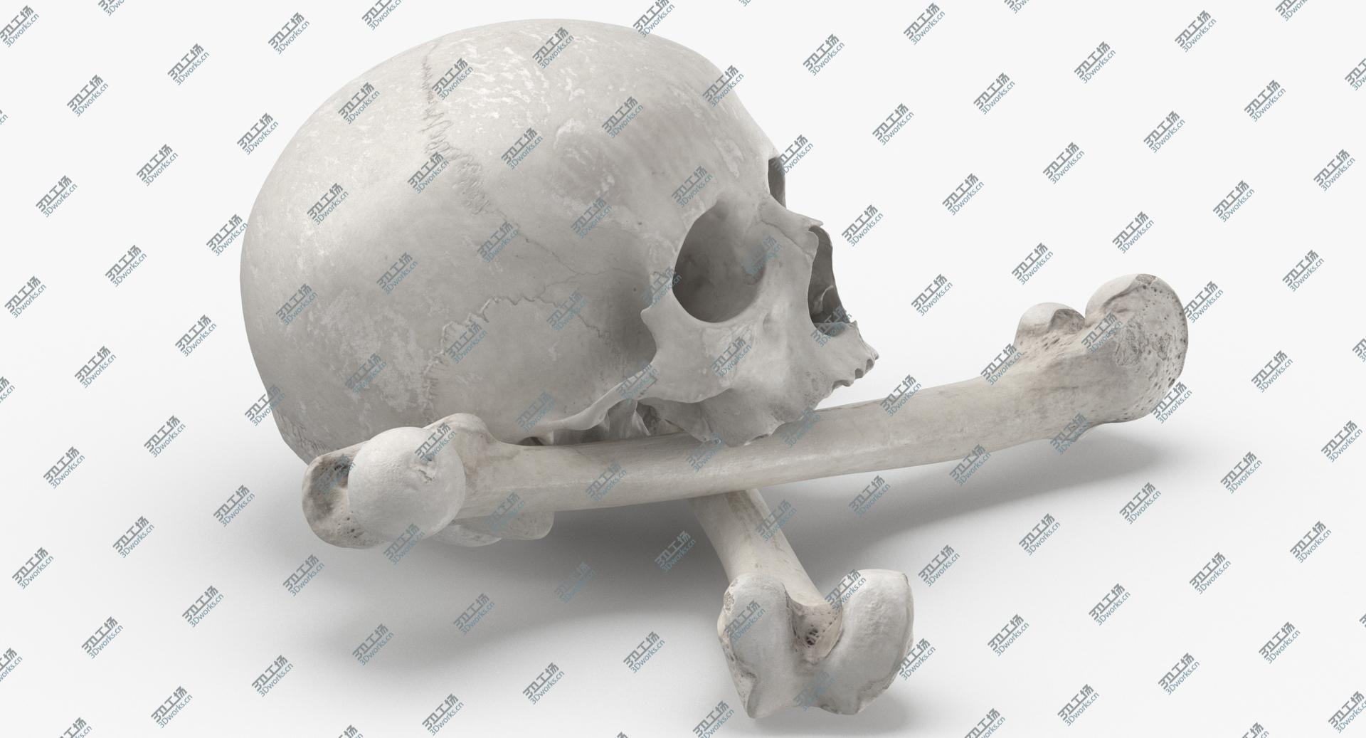 images/goods_img/202104021/3D Pirate Skull and Bones Compostion 01 White/4.jpg